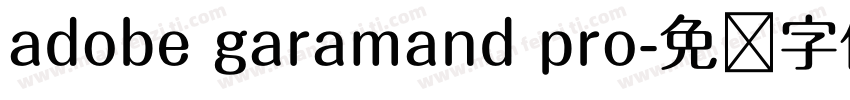 adobe garamand pro字体转换